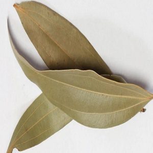 Bay Leaf / Tej Patta