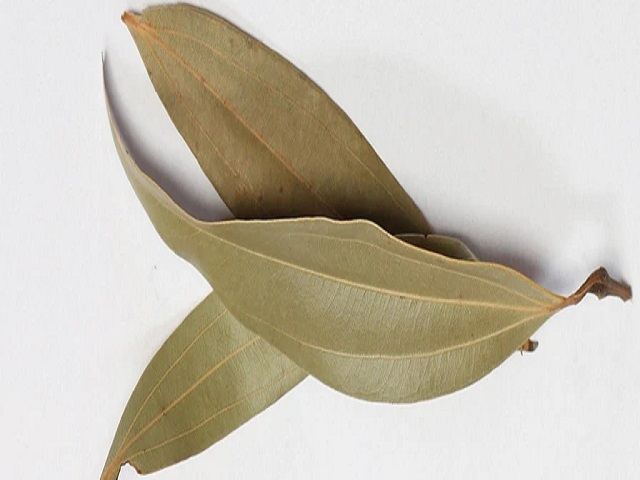 Bay Leaf / Tej Patta