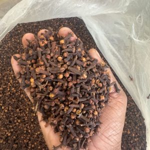Clove ( Premium Grade 1)  (ഗ്രാമ്പൂ)(Laung) in Hindi | (लौंग )