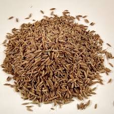 Cumin - Image 2
