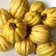 Garcinia Cambogia ( Kudampuli ) കുടംപുളി - Image 2