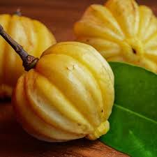 Garcinia Cambogia ( Kudampuli ) കുടംപുളി - Image 4